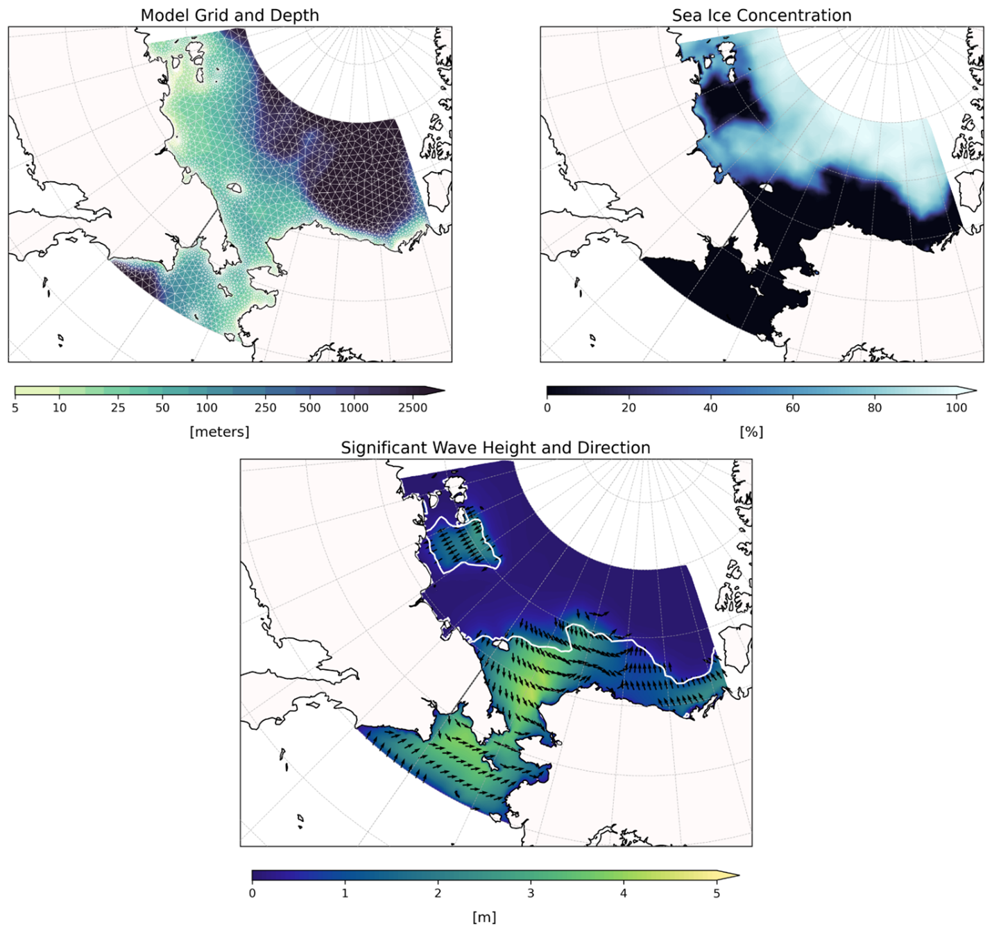 Maps of inputs and outputs of the Arctic PISCES wave model